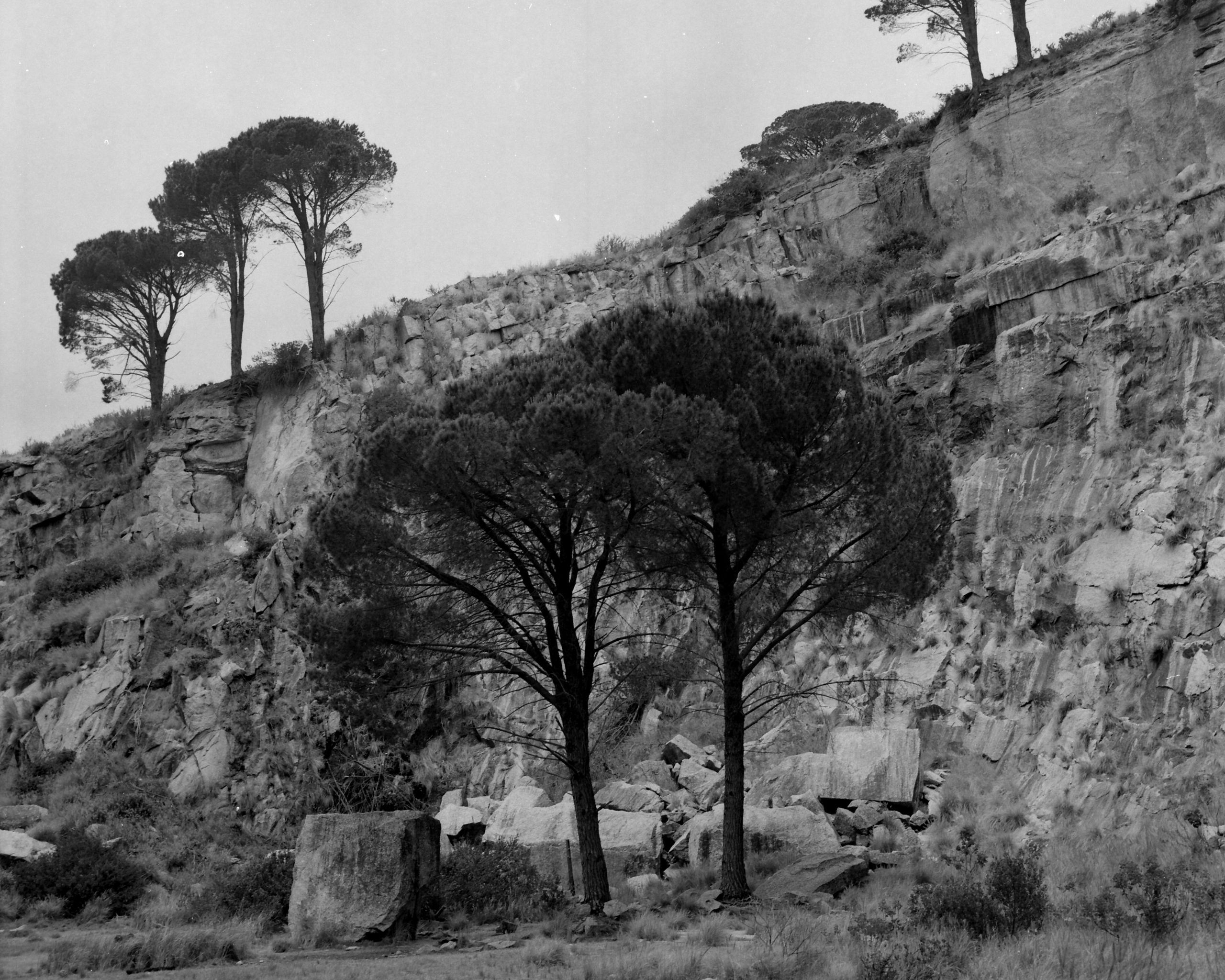 Website Portfolio-17